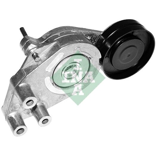 INA 534 179 10 Tendicinghia Poly-V, Braccio Tenditore Per PEUGEOT E CITROËN (206, 207, Partner, Xsara Picasso, Berlingo)