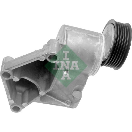 Tendicinghia INA 534 0032 10