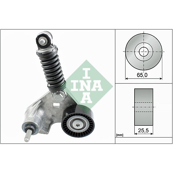 Tendicinghia INA 534 0169 10