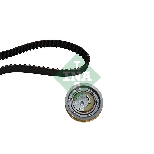 Kit distribuzione INA 530 0391 10