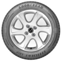 Pneumatico GOODYEAR EFFICIENTGRIP PERFORMANCE 195/55 R16 87 W * Runflat -  Norauto