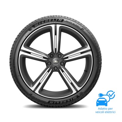 Pneumatico MICHELIN PILOT ALPIN 5 305/30 R21 104 V XL NA5